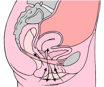 how to tighten your vag fast with kegel exercises